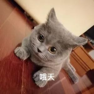 被醉酒人打伤如何索赔,被人酒后打了3巴掌能赔多少钱