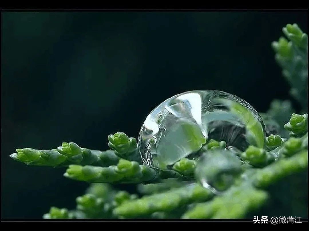 蒲江石象湖景区还开着吗,石象湖开放时间