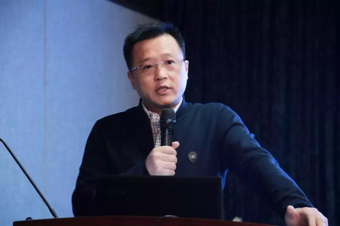 走进亮美嘉，感受光魅力