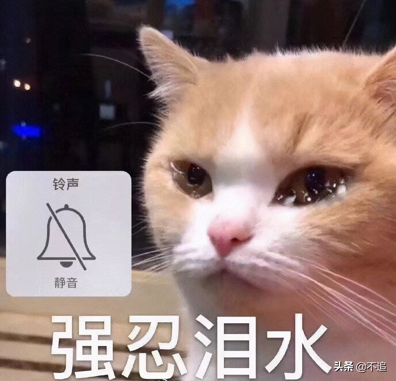 说点干唇不想听的，有的网红唇膏，真不一定好用