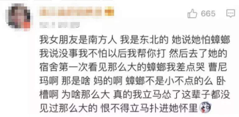 南方蟑螂和北方蟑螂对比恶搞,南方大蟑螂吓哭北方人