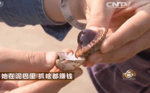 每个幻想暴富的中国人，都在这档节目里做过梦