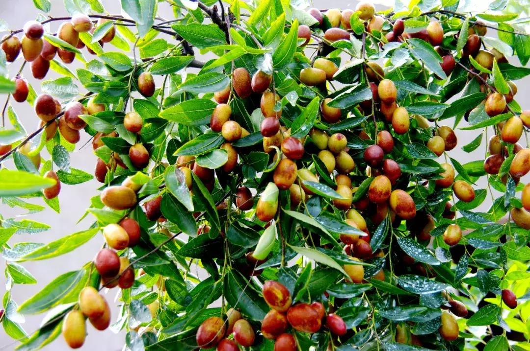 新郑好看视频,新郑怎么样