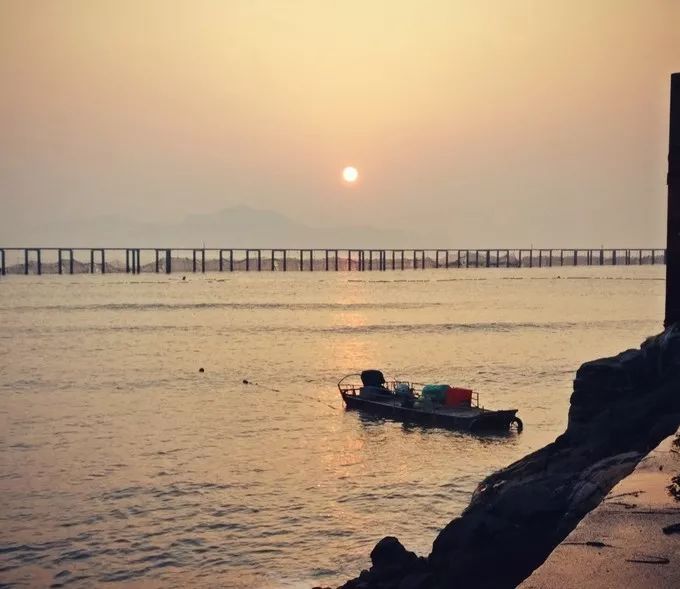上海去桃花岛的自驾轮渡时间表,上海开车去舟山桃花岛怎么去