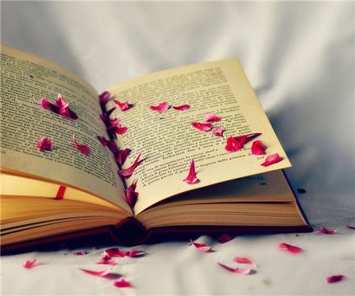 名师高三学习方法技巧,高三各科正确学习方法