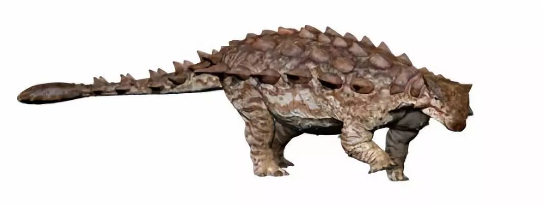 中国最著名的恐龙是什么恐龙,在中国发现的肉食恐龙有哪些