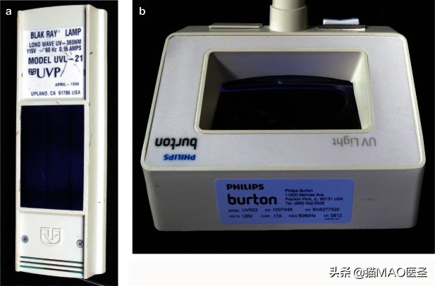猫咪真菌与螨虫鉴别,猫咪细菌和真菌皮肤病区分