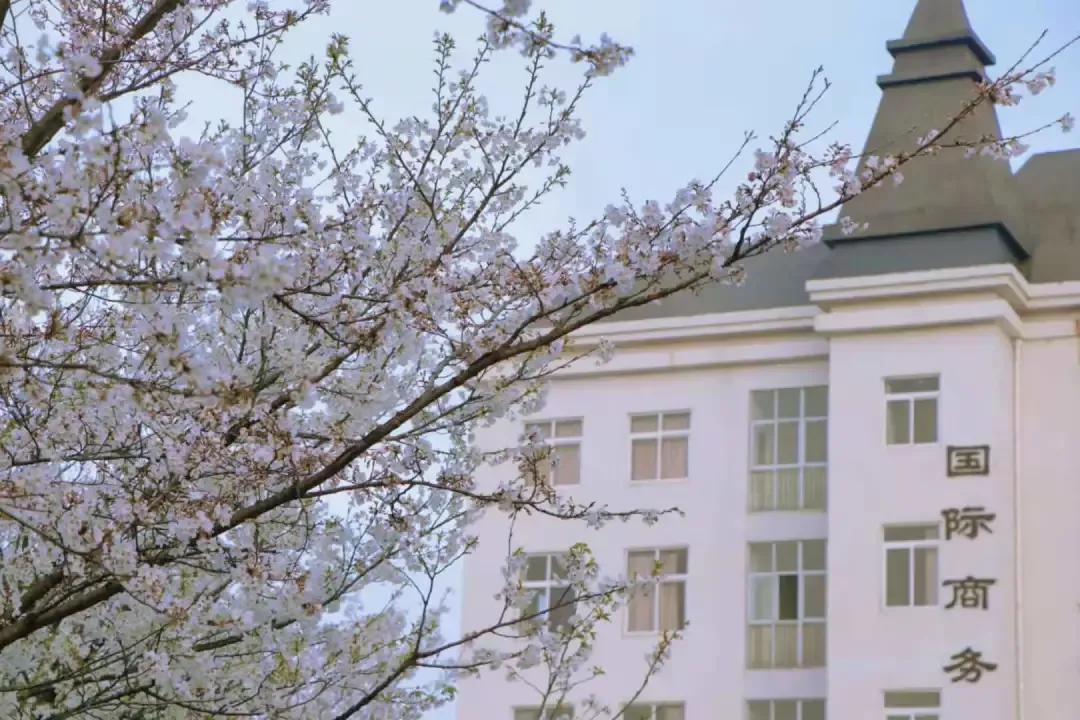 安徽外国语学院排名,安徽省高校总数