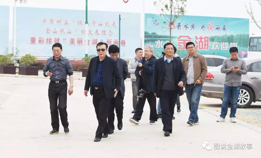 金湖荷花荡灯光秀,金湖荷花池塘美景