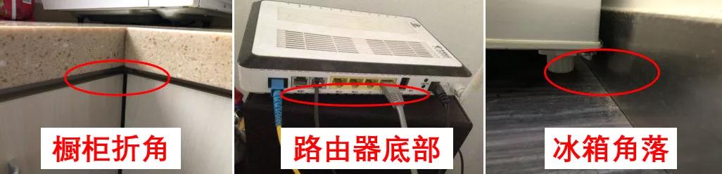 饮水机出了一只蟑螂怎么办,饮水机接出来的蟑螂能活多久