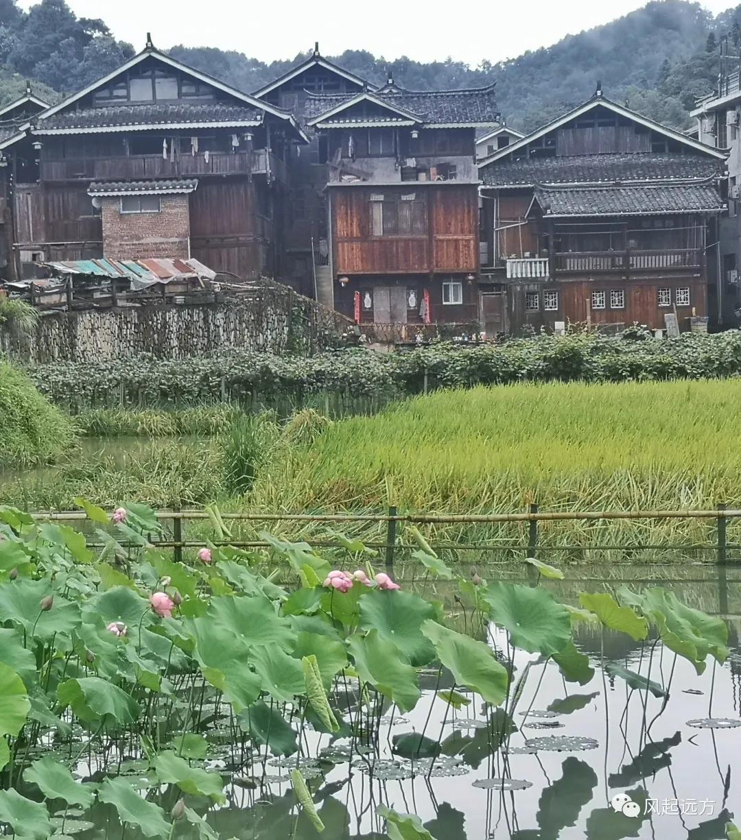 侗寨自由行游记,自驾侗族八寨攻略