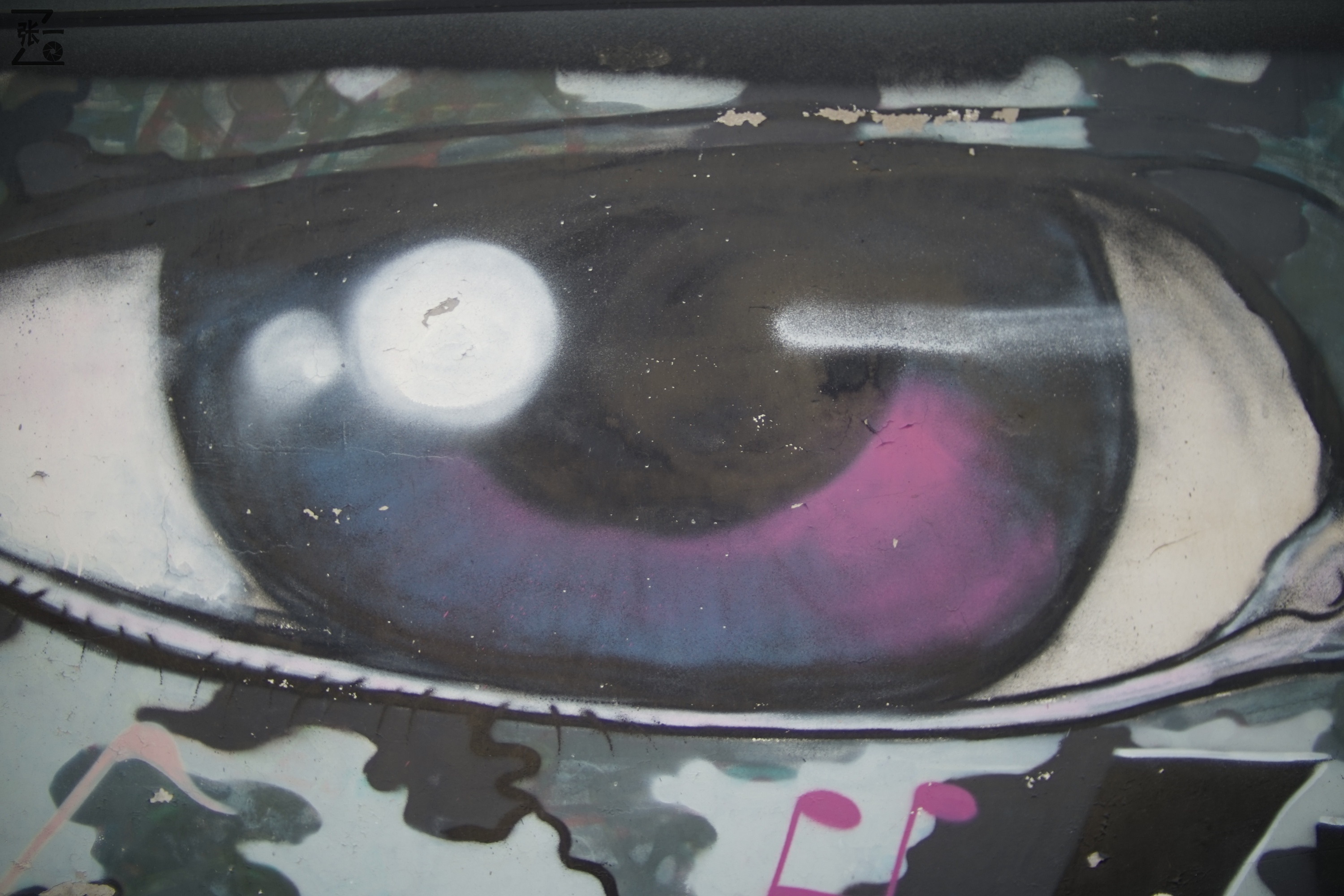 中国产微单,24-135镜头索尼