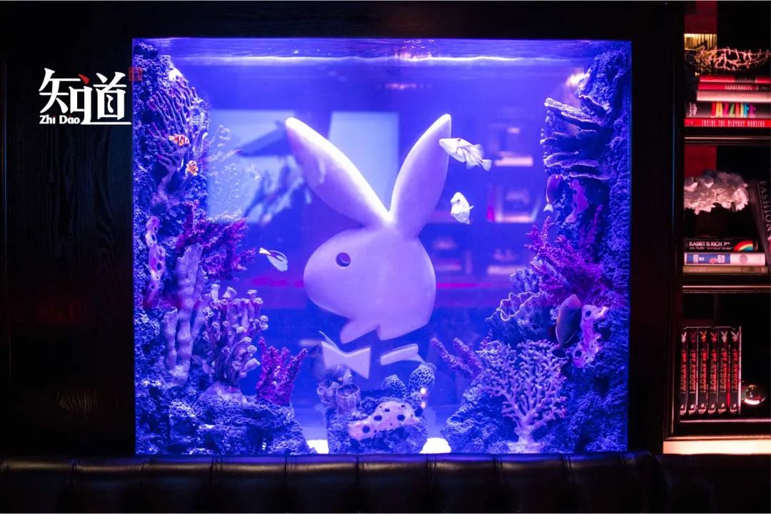 鑺辫姳鍏瓙鏉傚織鎬婚儴瀹ｅ竷鍋滃垔,鑺辫姳鍏瓙鏉傚織