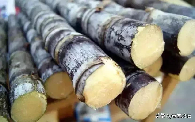 比毒蛇还毒的虫子,比毒蛇还要毒的东西