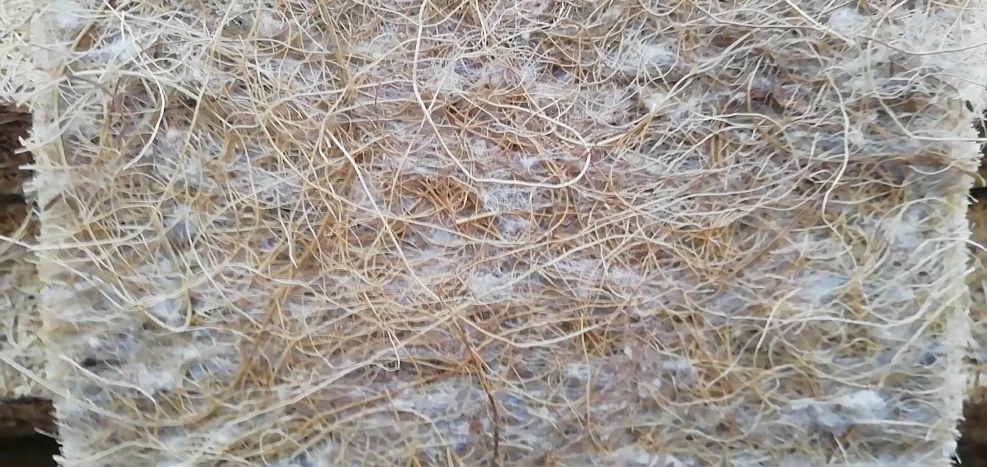 床垫买什么样的床垫好,床垫要选什么床垫比较好呢