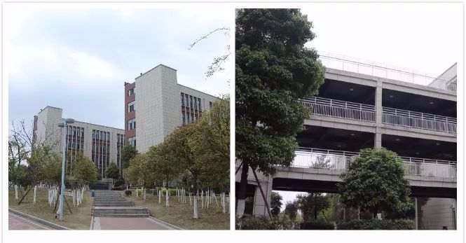 绵阳富乐中学富乐国际,为什么选择绵阳富乐国际学校