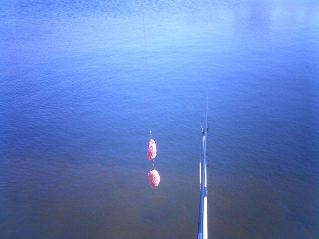 钓鱼王疯钓鲤推荐配方,钓鲤秘方