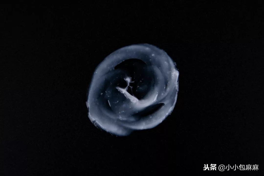 安全平价的国货宝宝霜,网红宝宝霜哪个牌子好用