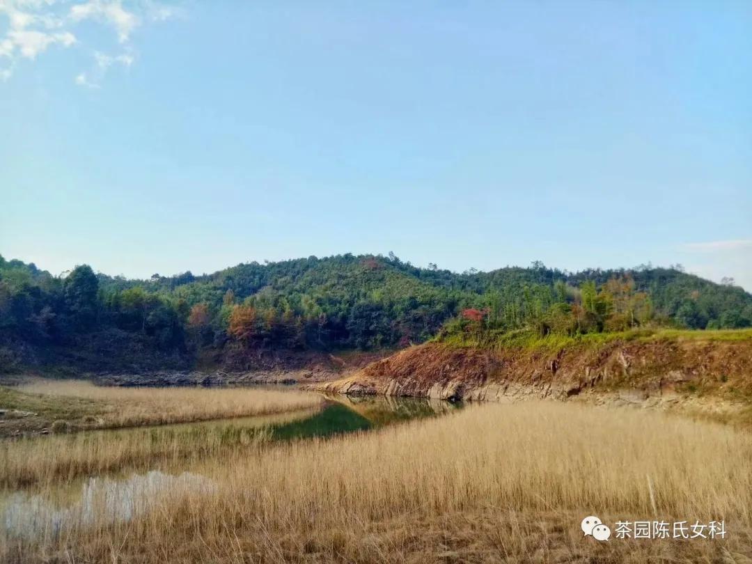 经期养卵巢,月经量少在家怎样保养卵巢