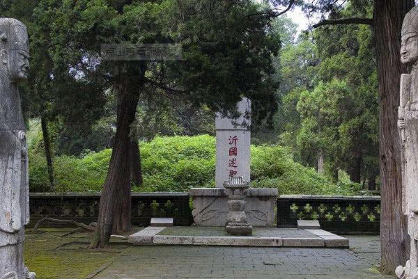 为何“山东孔林”上不落鸦，下不招蛇鼠？真相是什么？