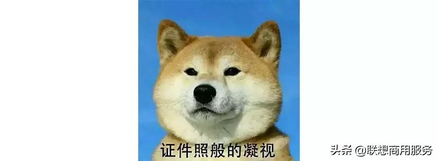 如何用word制作好看的个人简历表,简单利用word制作简历无框