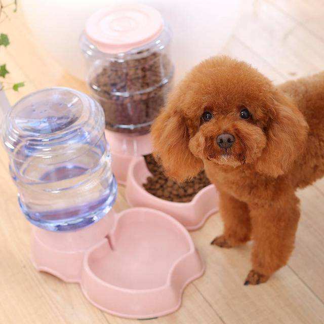 什么寄生虫会导致狗狗软便,狗狗老睡床应该怎么治