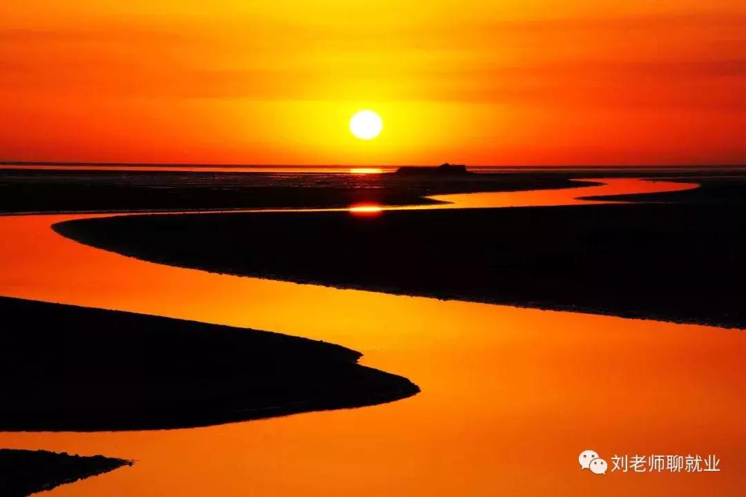 带你看单位,东营科瑞集团最新招聘