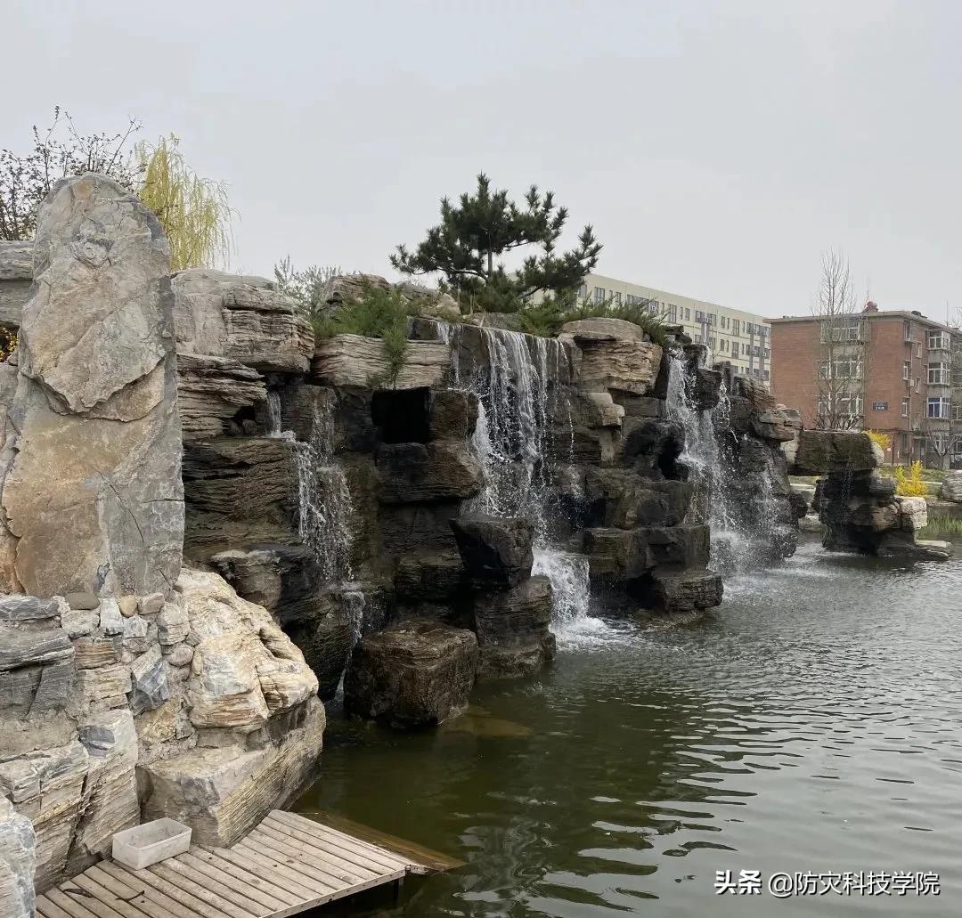 防灾“治疗术”，治愈不开心！