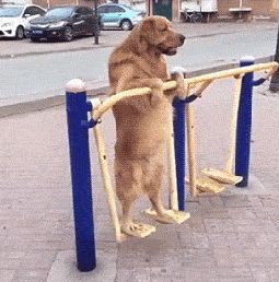 怎么笑话自己,搞个笑话逗自己开心