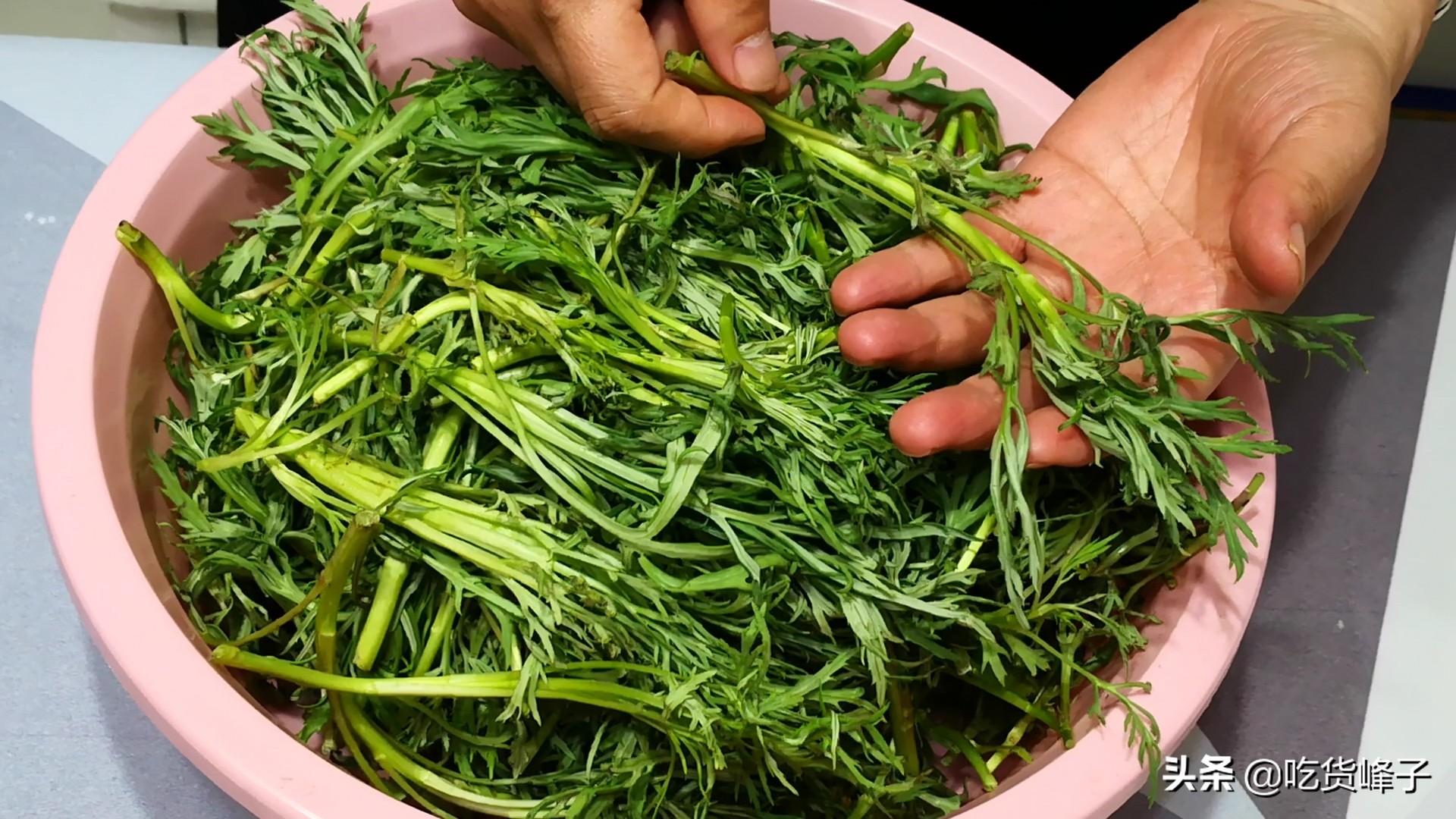 有一种乡愁叫家乡的油菜,有一种乡愁叫家乡的麦田