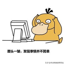 内地版青铜，本土才是王者？护肤品版本究竟有何猫腻？