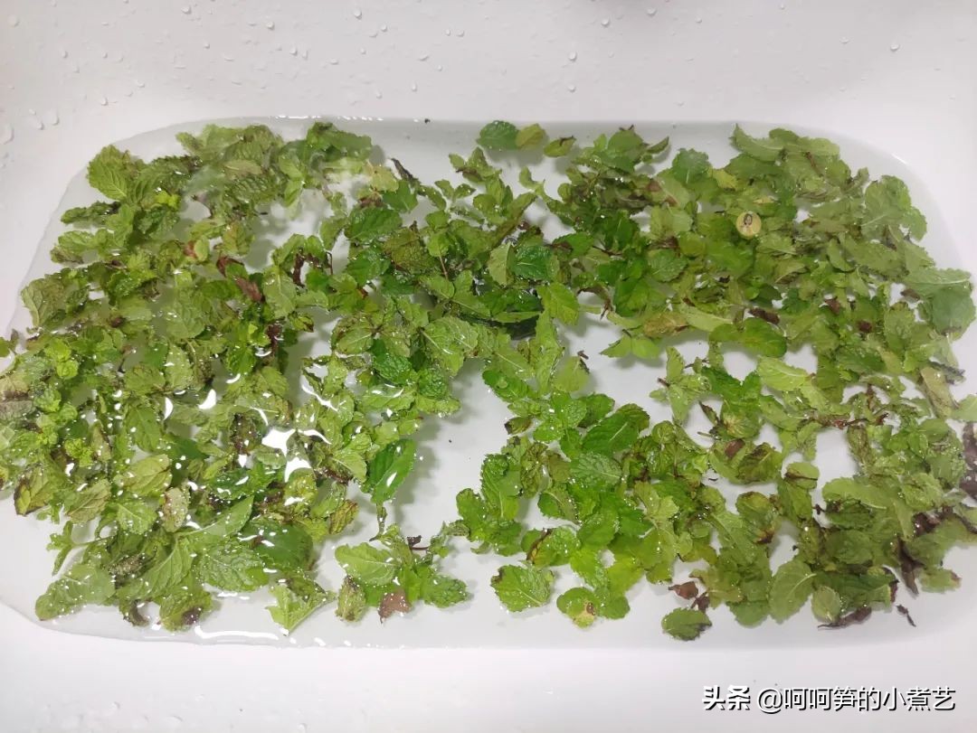 新鲜薄荷怎么弄茶,新鲜的薄荷叶怎么做才好吃