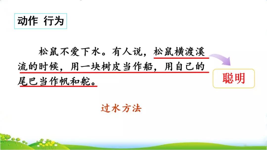 五年级语文第17课松鼠讲解,五年级上册第17课松鼠教材详解