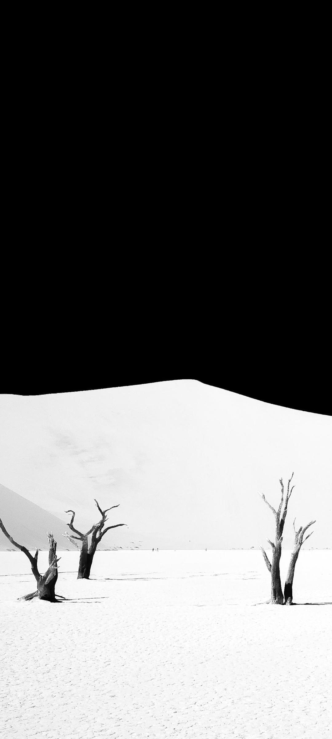 方便整理桌面图标的壁纸,不影响电脑性能的动态壁纸