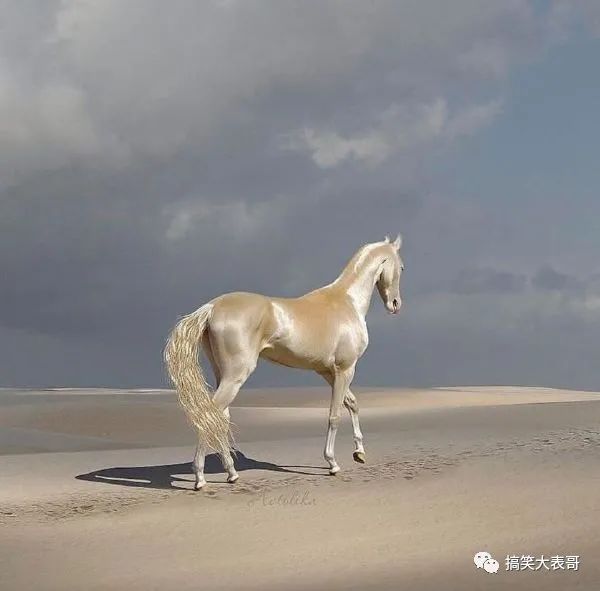 妹子说遇到烦心事怎么回,妹子说遇到麻烦了怎么回