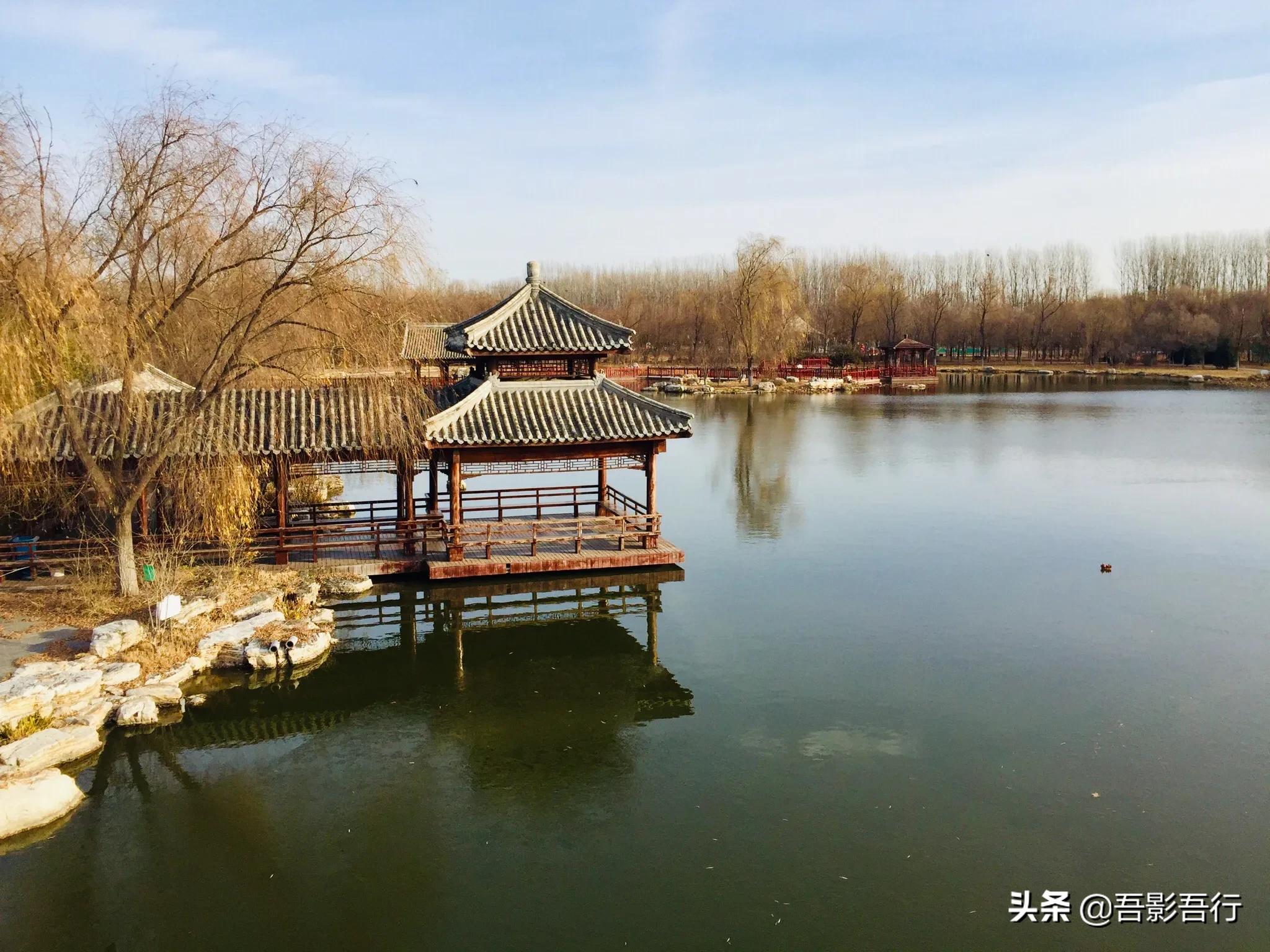 武清津北森林公园有哪些风景,天津武清森林公园开放时间表