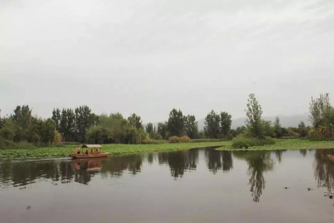 凉山彝族自治州邛海湿地,走进西昌邛海湿地