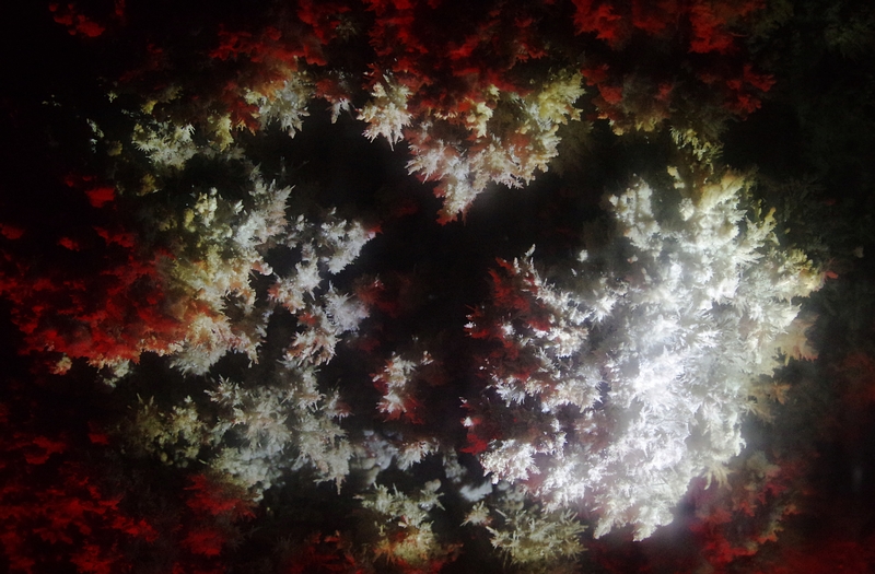 北京石花洞温度,北京石花洞景区