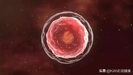 nk细胞消灭癌细胞实录,nk细胞杀神经元