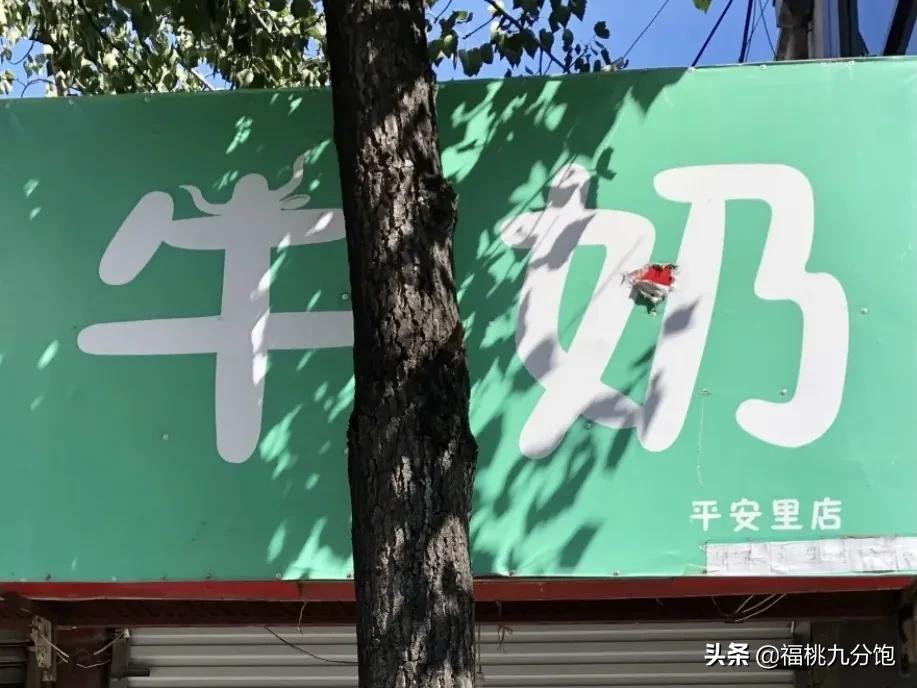 选牛奶三大标准,选酸奶攻略