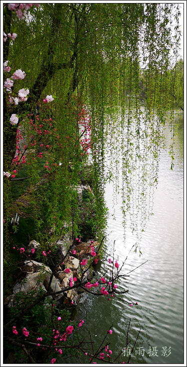 扬州夏日的瘦西湖风景,三月的扬州瘦西湖