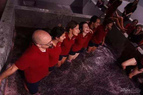 真正的红酒是怎么酿造的,喝了这么多年酒