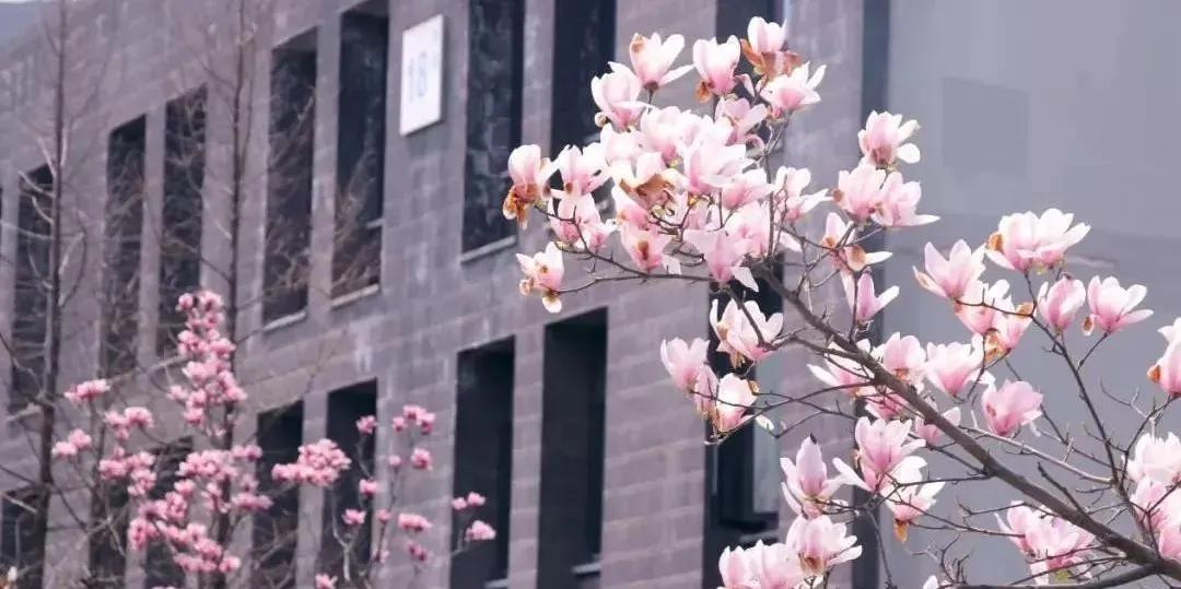 浣犱滑瀹夊績鑰冭瘯鎴戜滑鐢ㄥ績瀹堟姢,鎴戜滑涓轰綘鎶よ埅浣犱滑瀹夊績涓婅