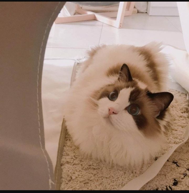 适合女生微商的副业,女生适合做什么副业赚钱