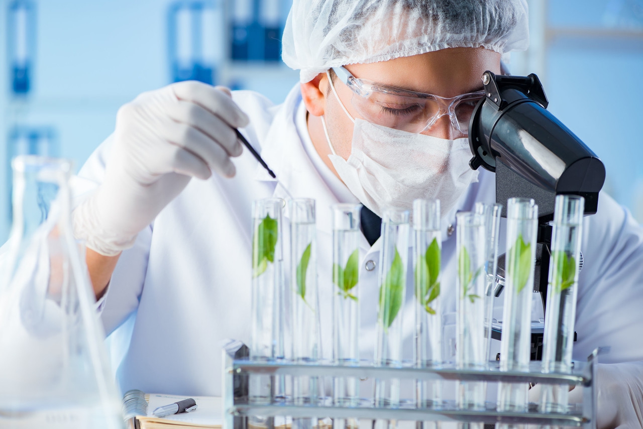 鸡拉稀拉水白痢脚痛怎么治,鸡白痢实验室诊断方法及防治