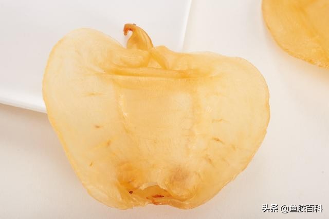 鱼胶有多美味,鱼胶其实是什么