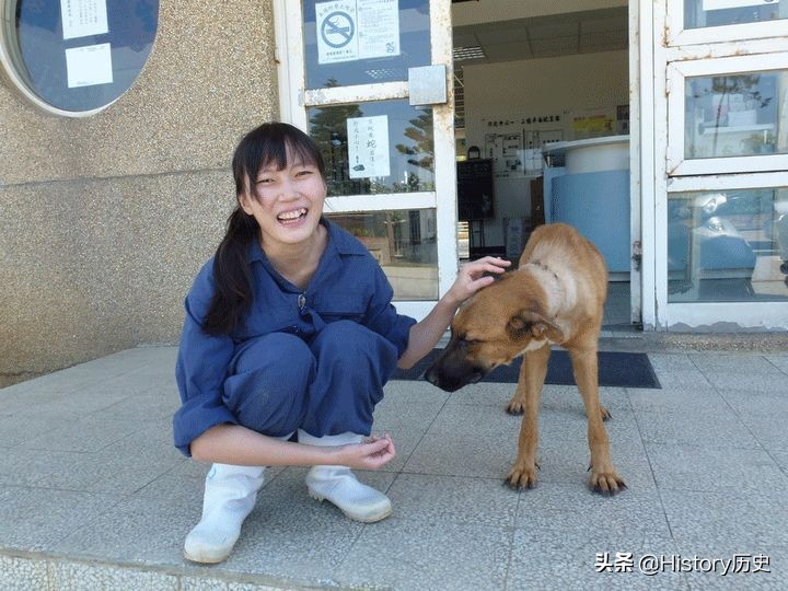 台湾给狗狗安乐死,台湾17岁狗安乐死