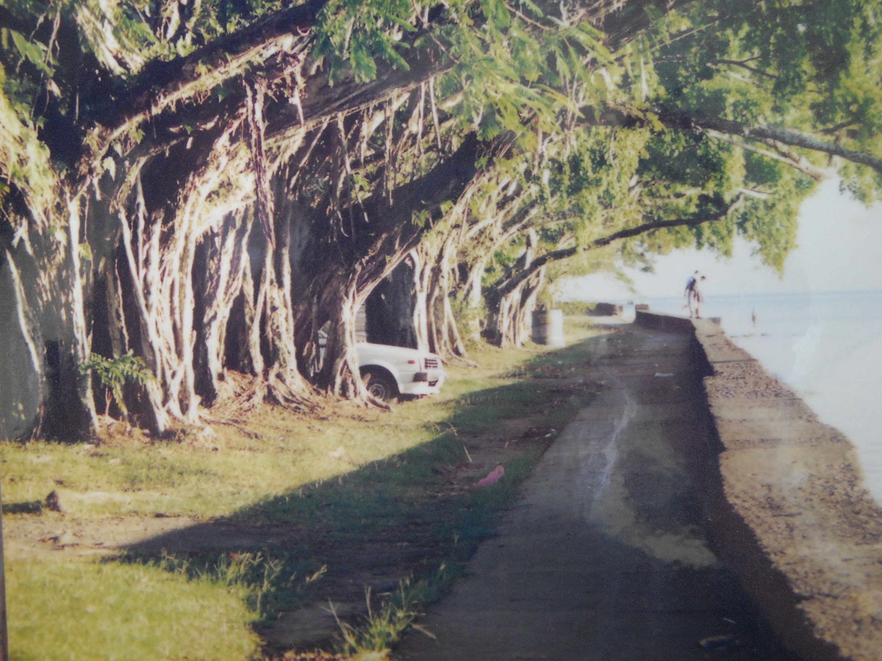 秋雨淅沥唤醒春情荡漾--我的千里求婚+万里成亲