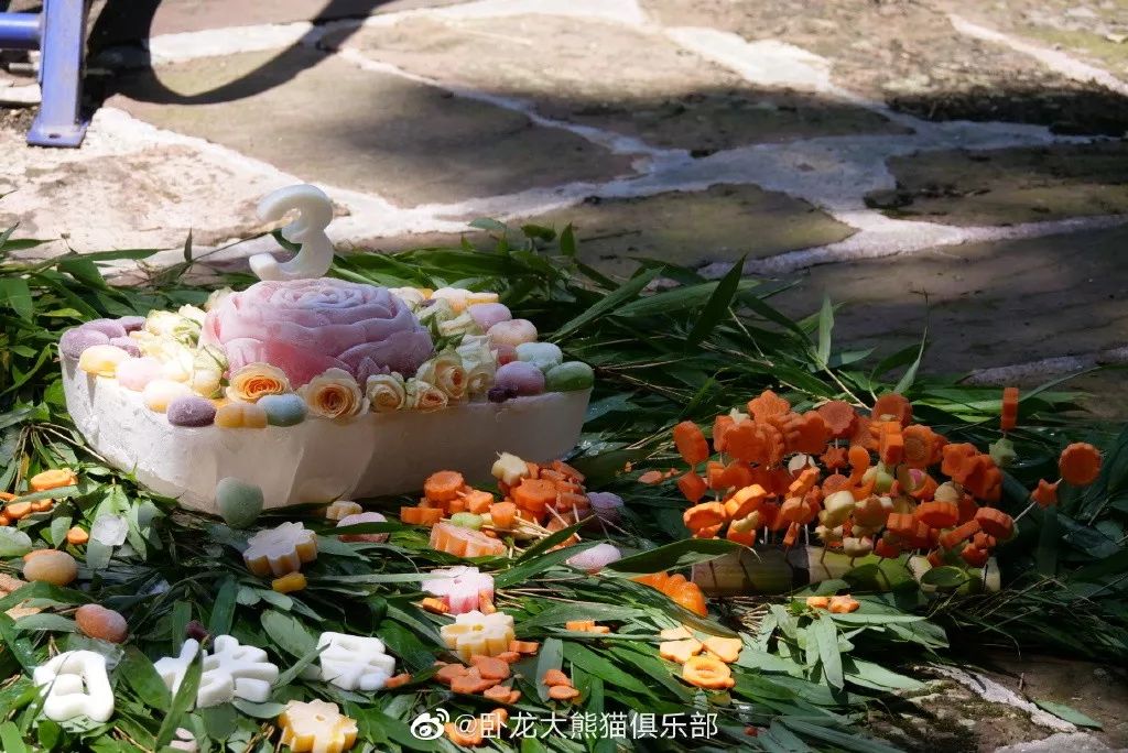 为什么全世界都喜欢大熊猫,世界各地的人们都爱好大熊猫英语