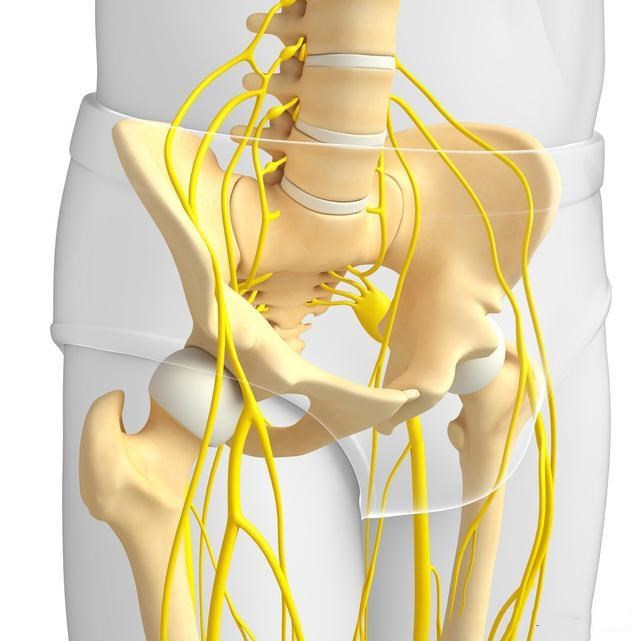 盆腔炎用针灸治疗效果好吗,针灸治疗盆腔炎